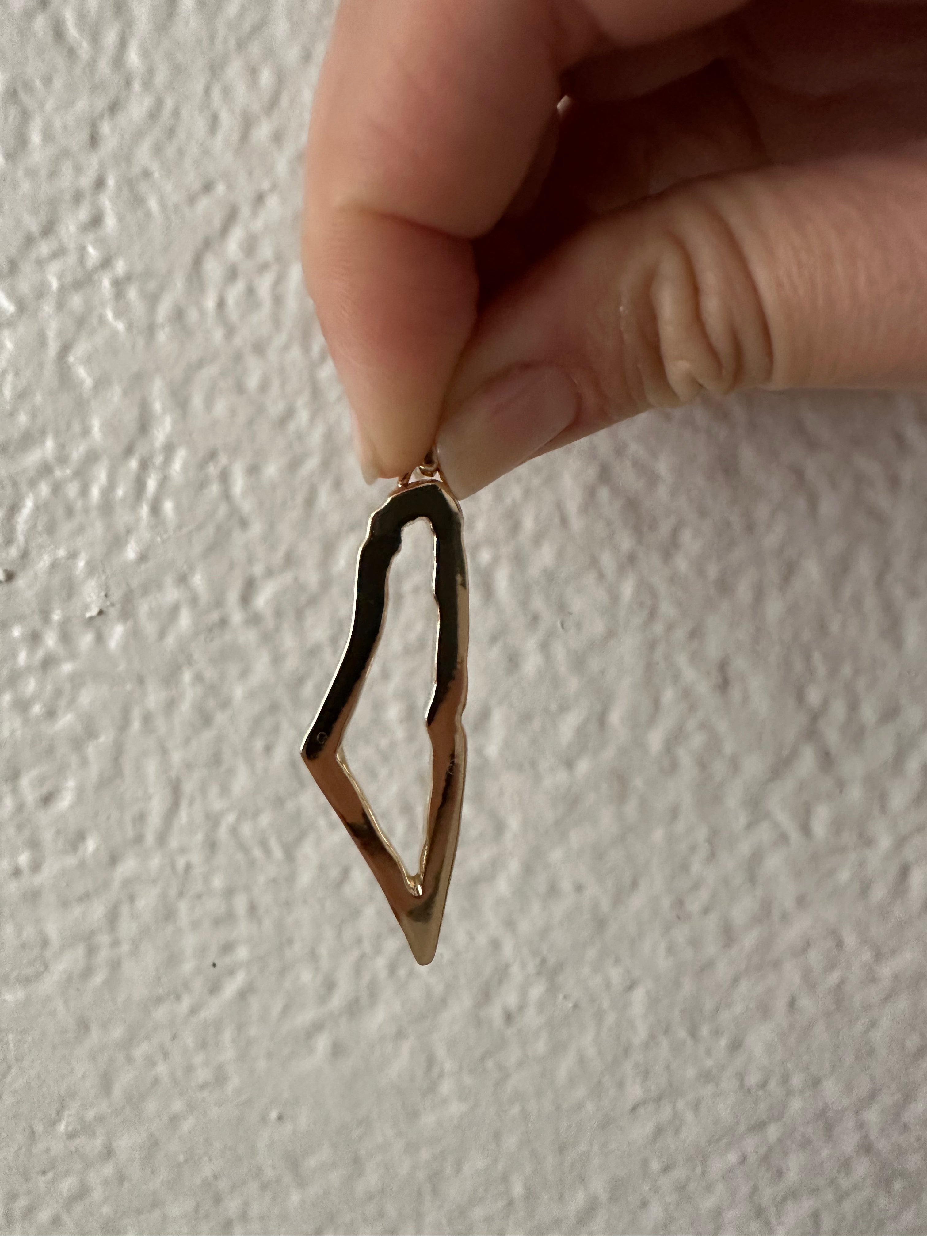 14K Gold Palestine Outline Map Pendant