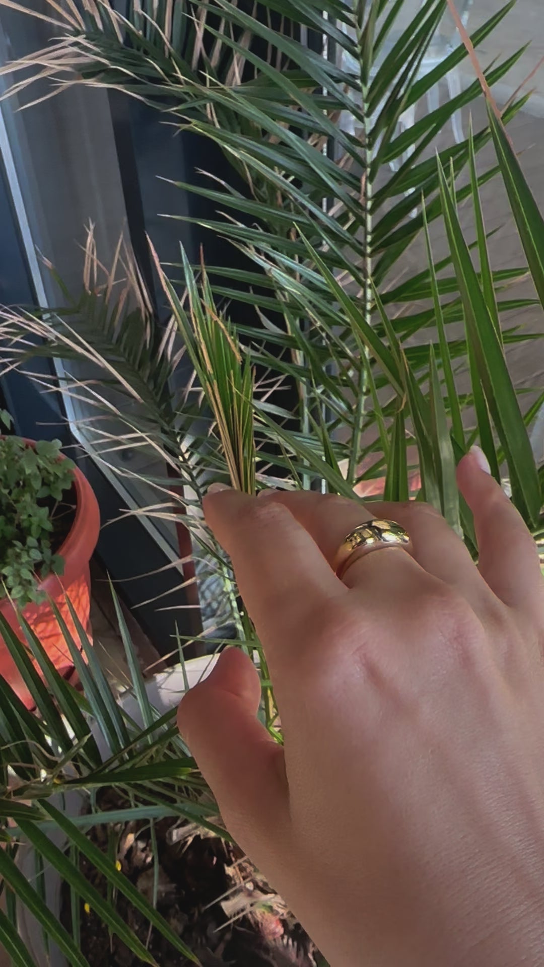 Solid 18k gold dome ring, sculptural tapered profile
